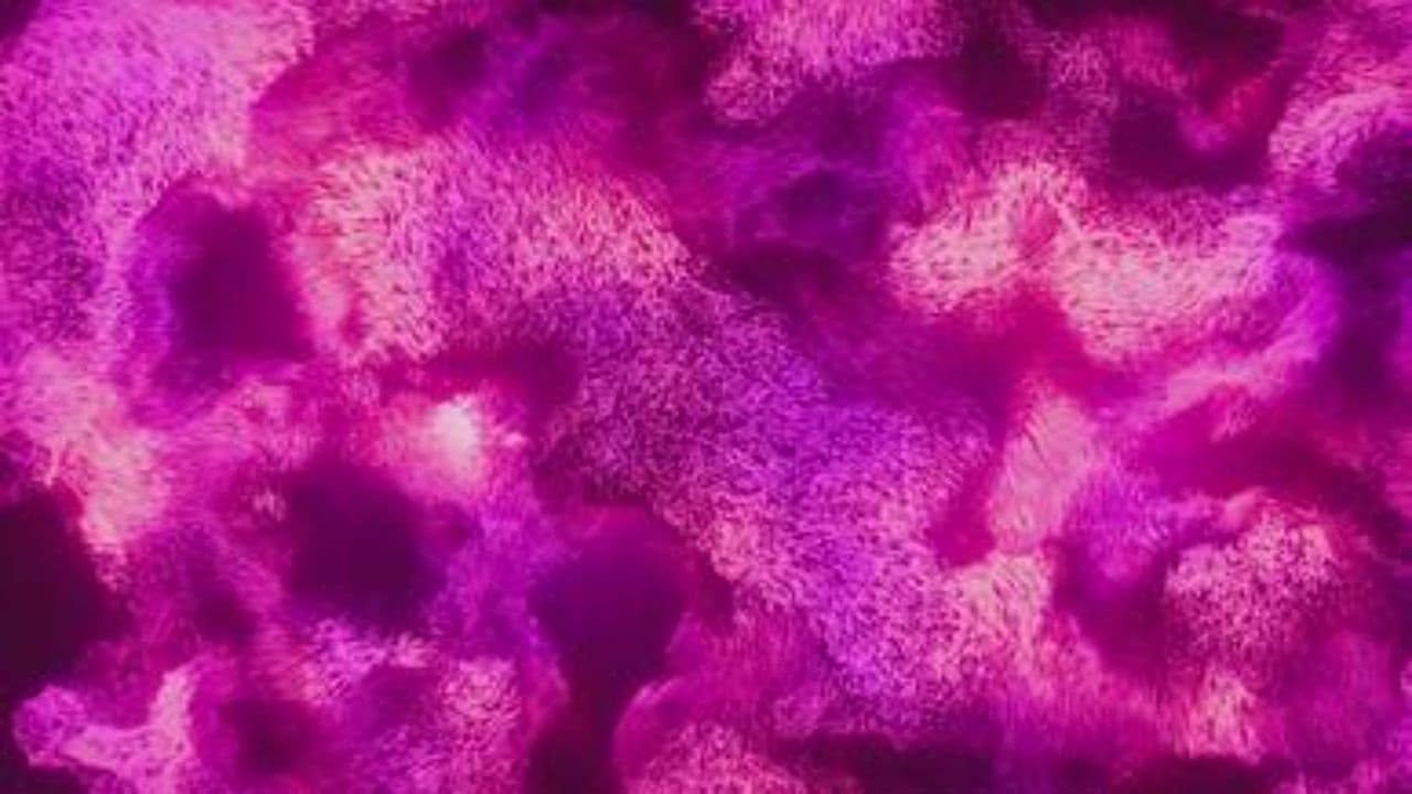 Choices and Consequences of Abortion