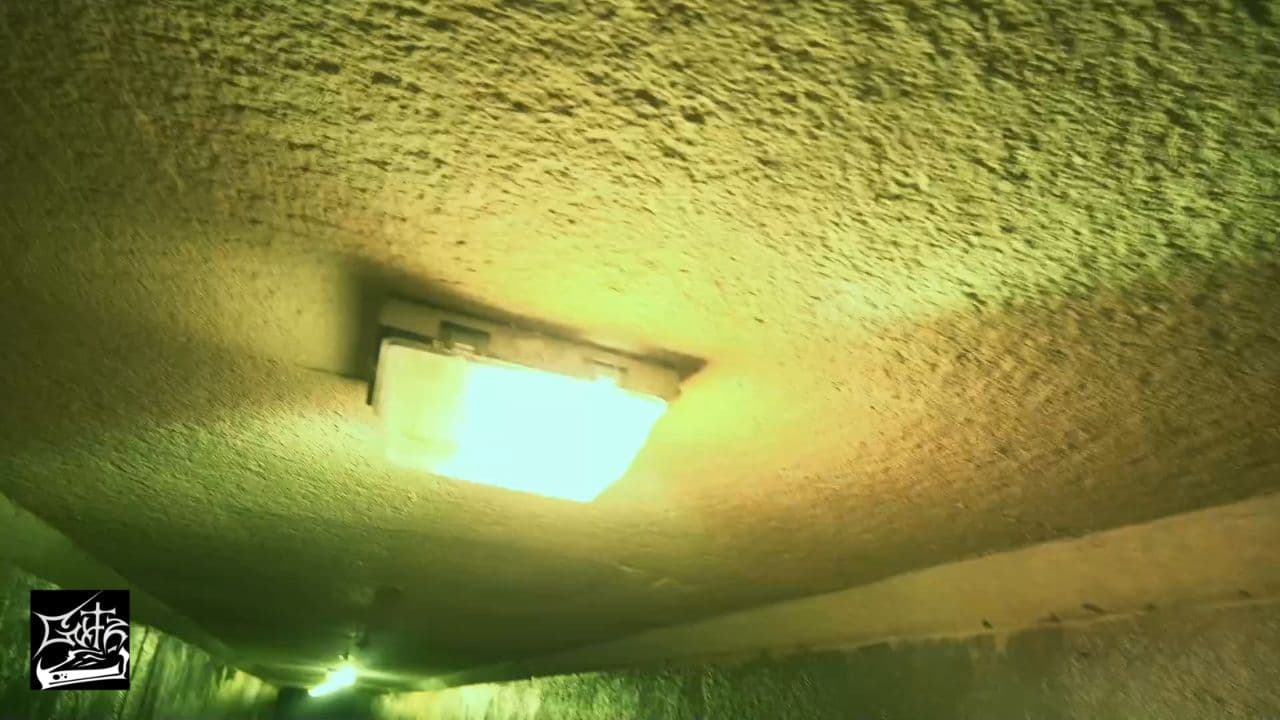 Год свадьбы и ред фиш