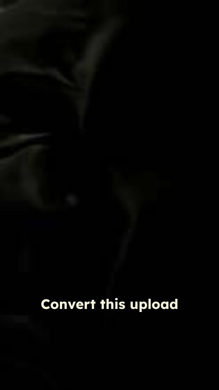 Luxury Aesthetic Transformation