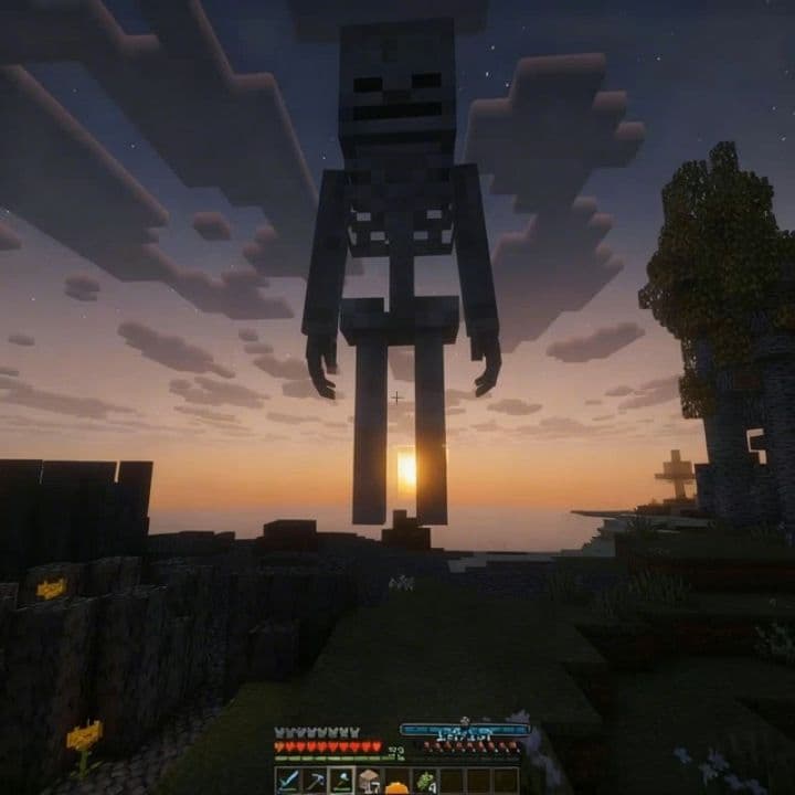 Image transform video