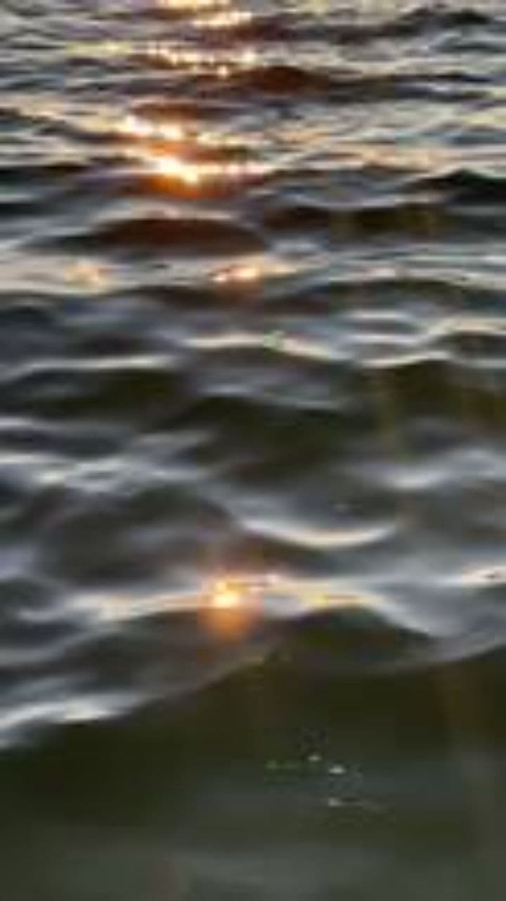 Porto Santo, Where I Am Home