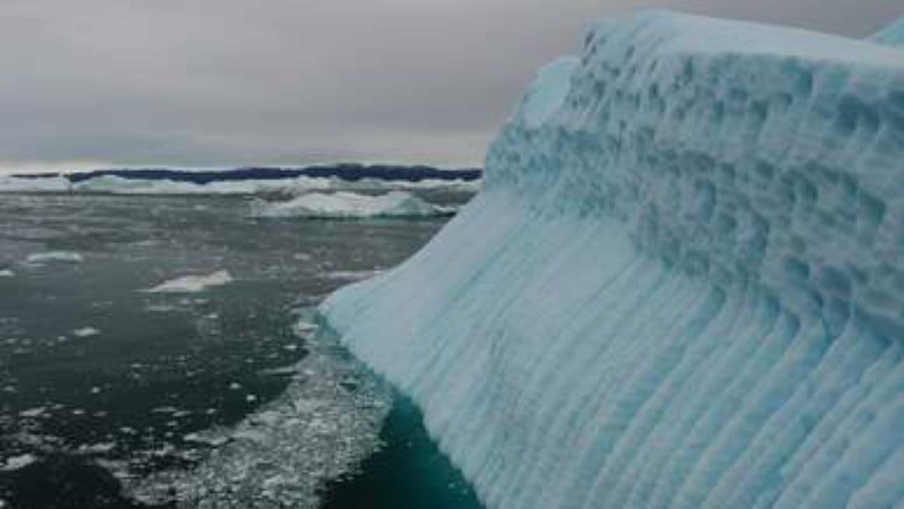 Flood Myths: Memory and Survival