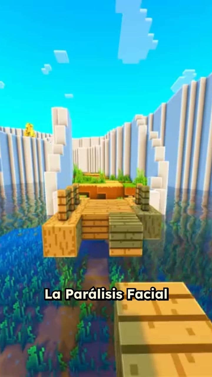 Rehabilitación de la Parálisis Facial Periférica