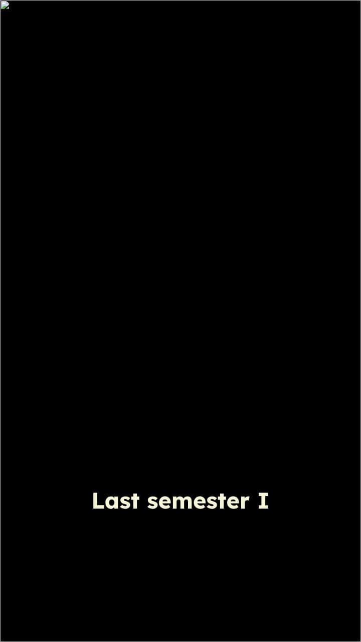 Chaos, Chickens, and Confused Hearts