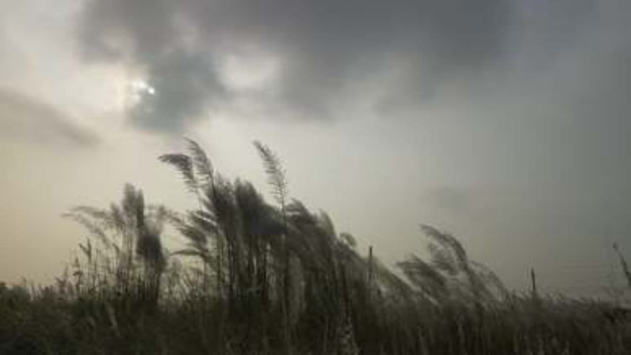 Overcast Rural Found Footage