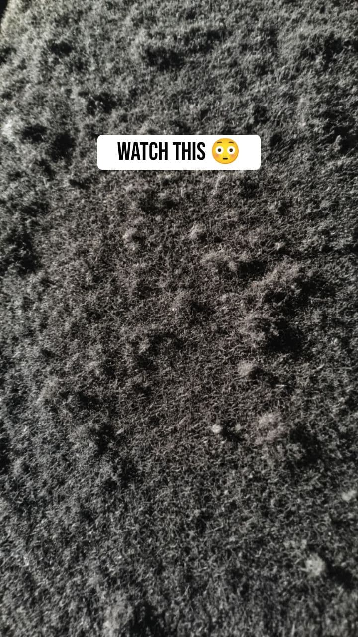 Ultimate Lint Shaver TikTok