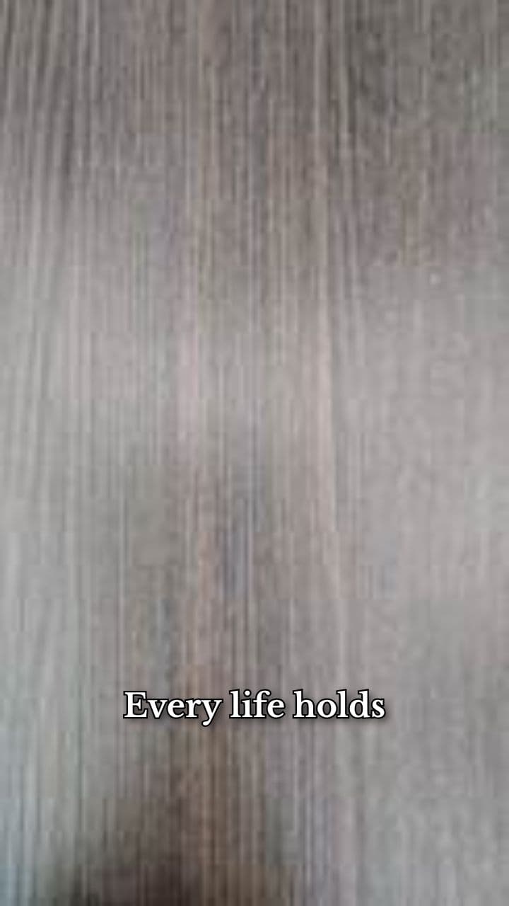 Preserve Your Legacy with Memento Vitae