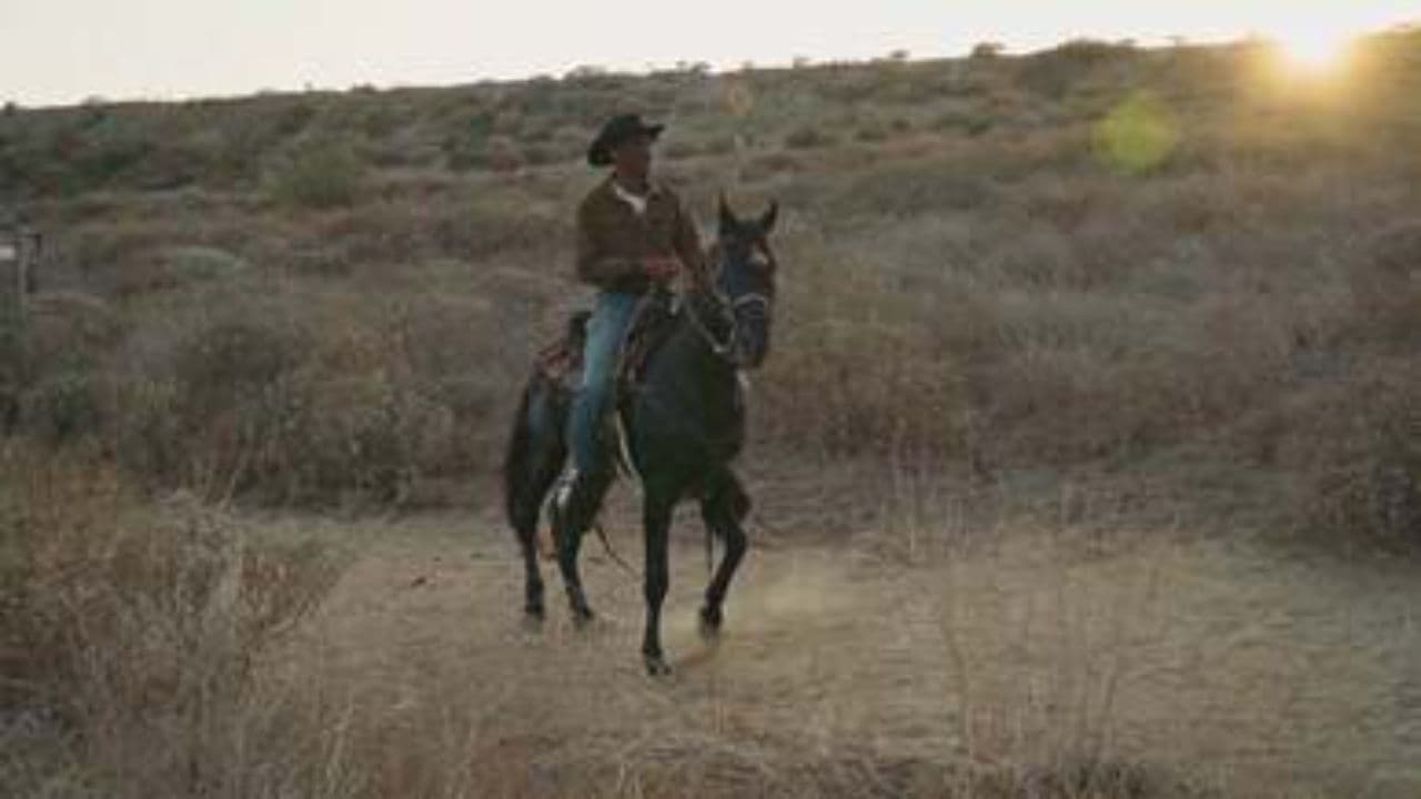 God, Girls, Guns, Whiskey, and Weed