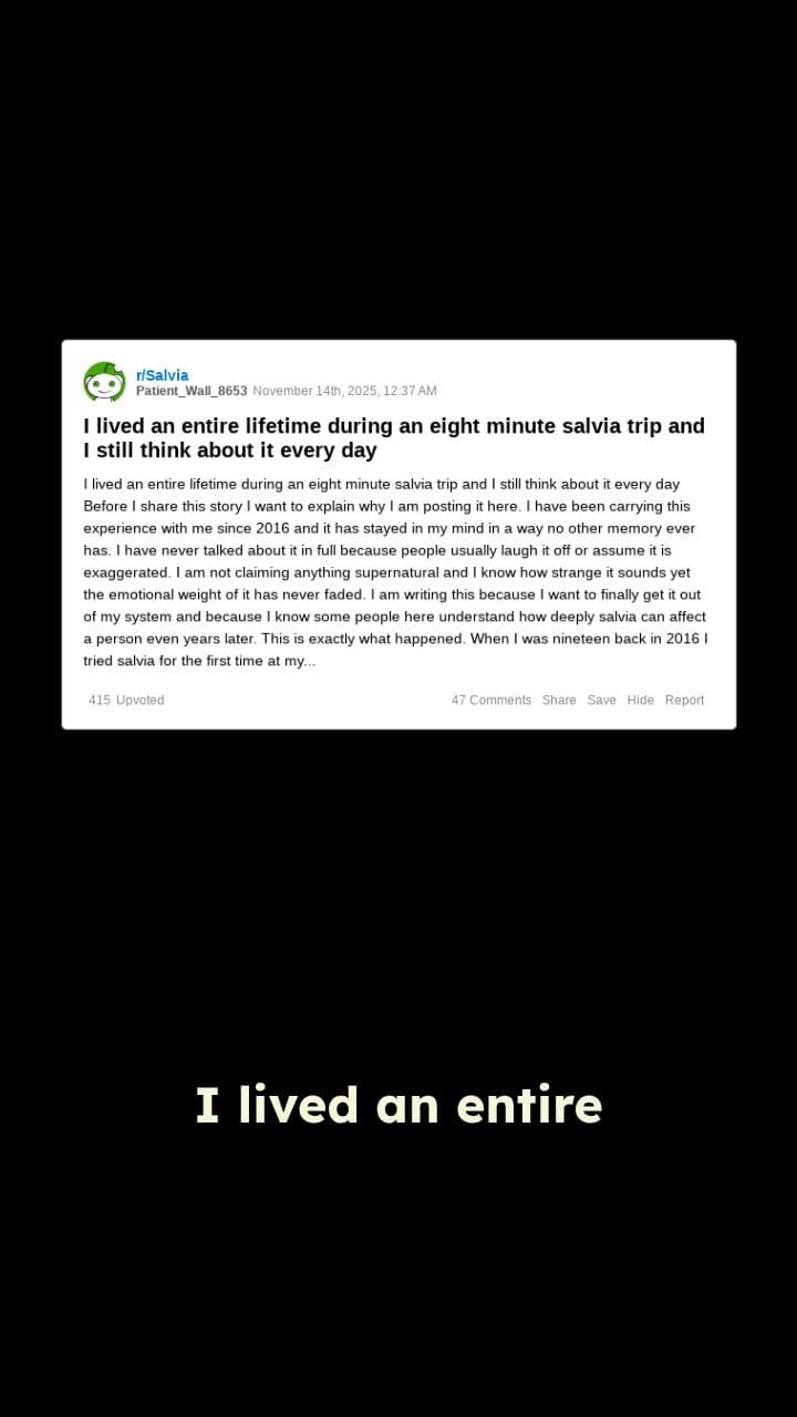 An Eight-Minute Lifetime Experience