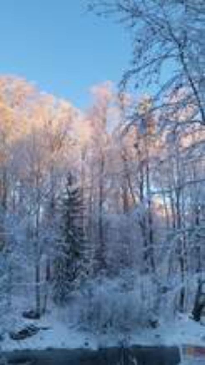 Vāvere un Ziemassvētku brīnums