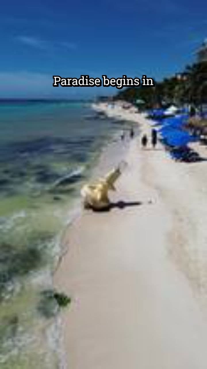 60-Second Thriller Trailer — CIA / Treasure Hunt in the Caribbean