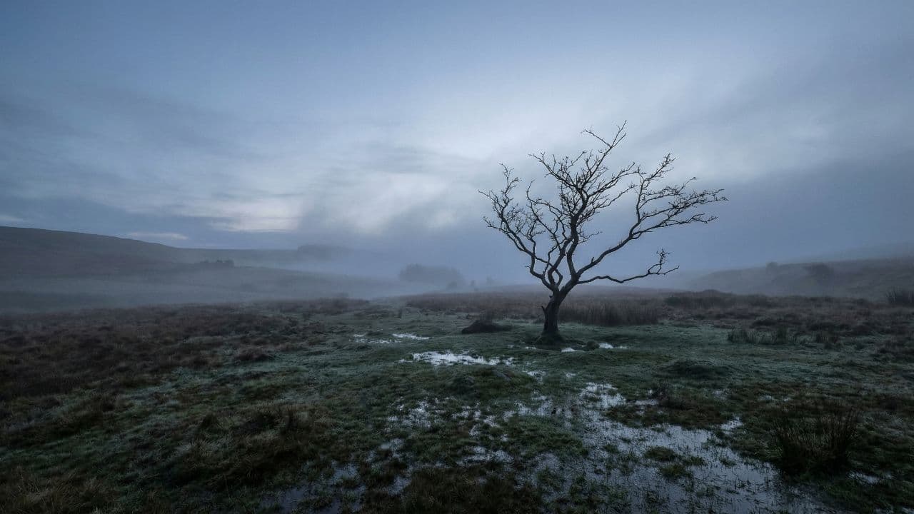 Disappointment in Treatment and Care