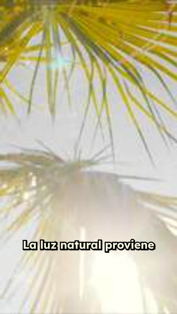 Cómo la hora del día transforma tus videos