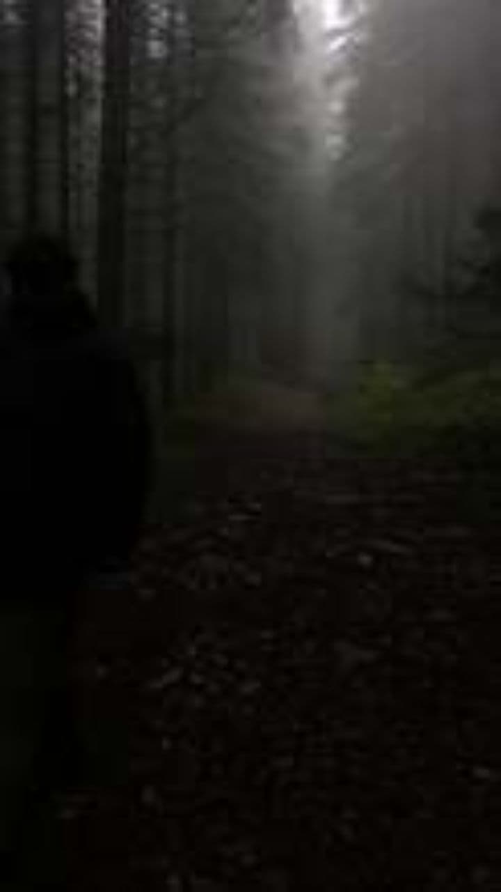 De Baviera al Caribe Invisible