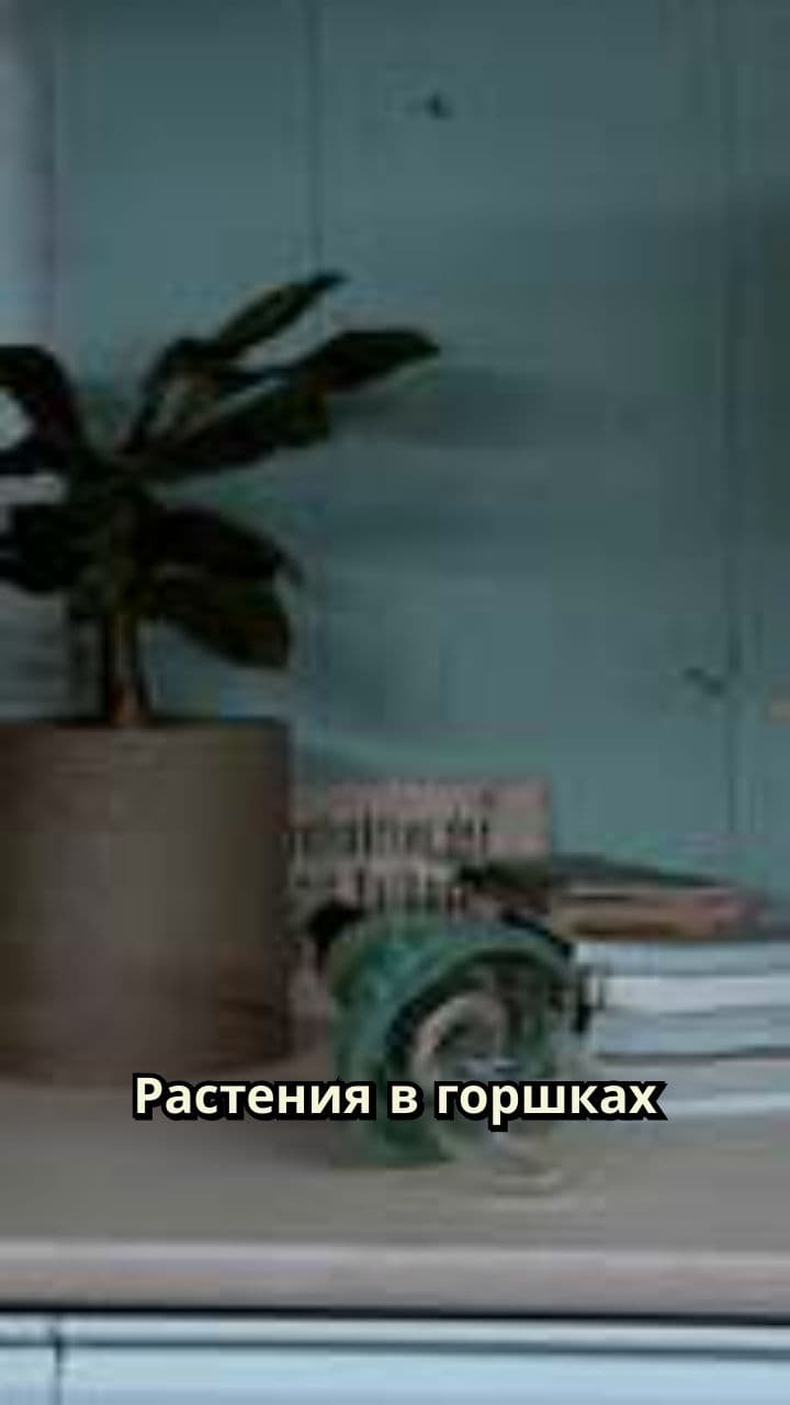 Секрет Сезонности: 200К в Месяц на Растениях