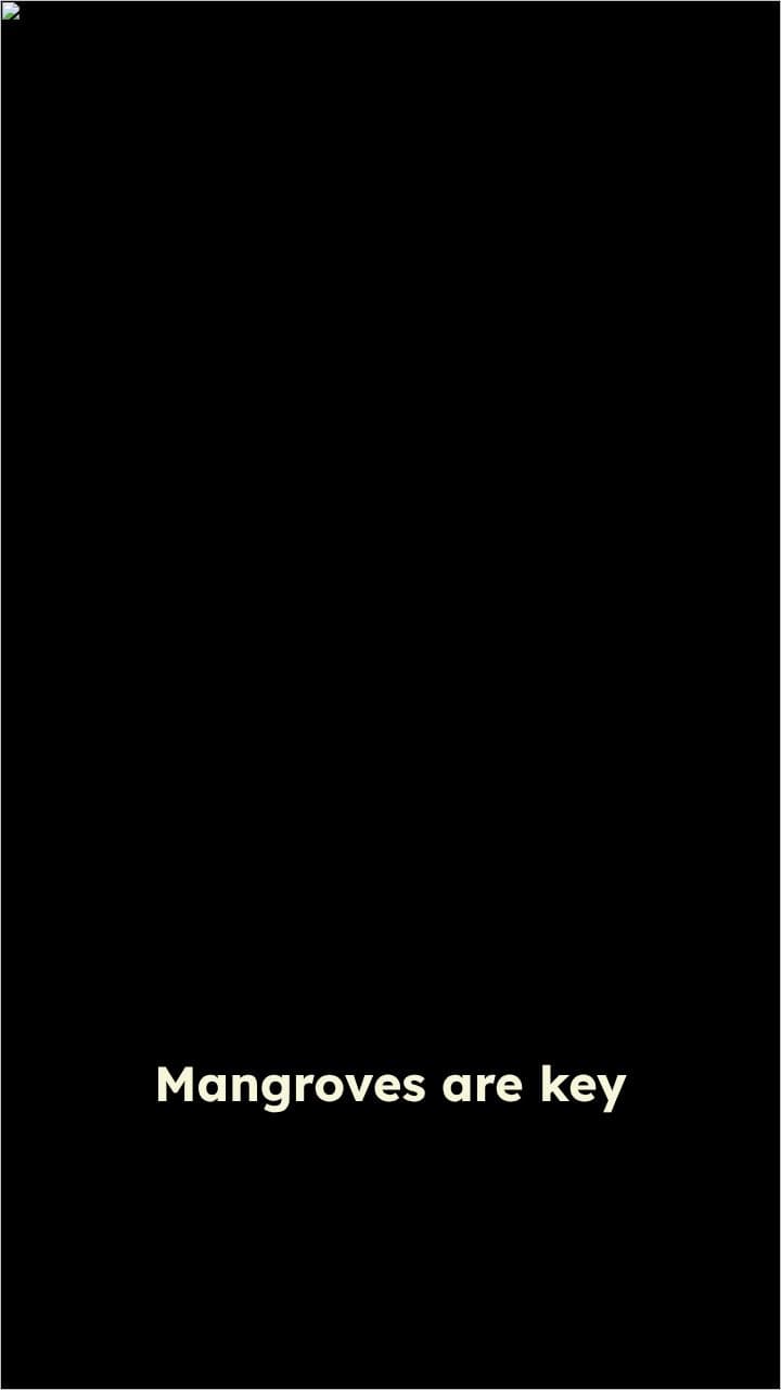 Lateral Carbon Exports from Mangroves