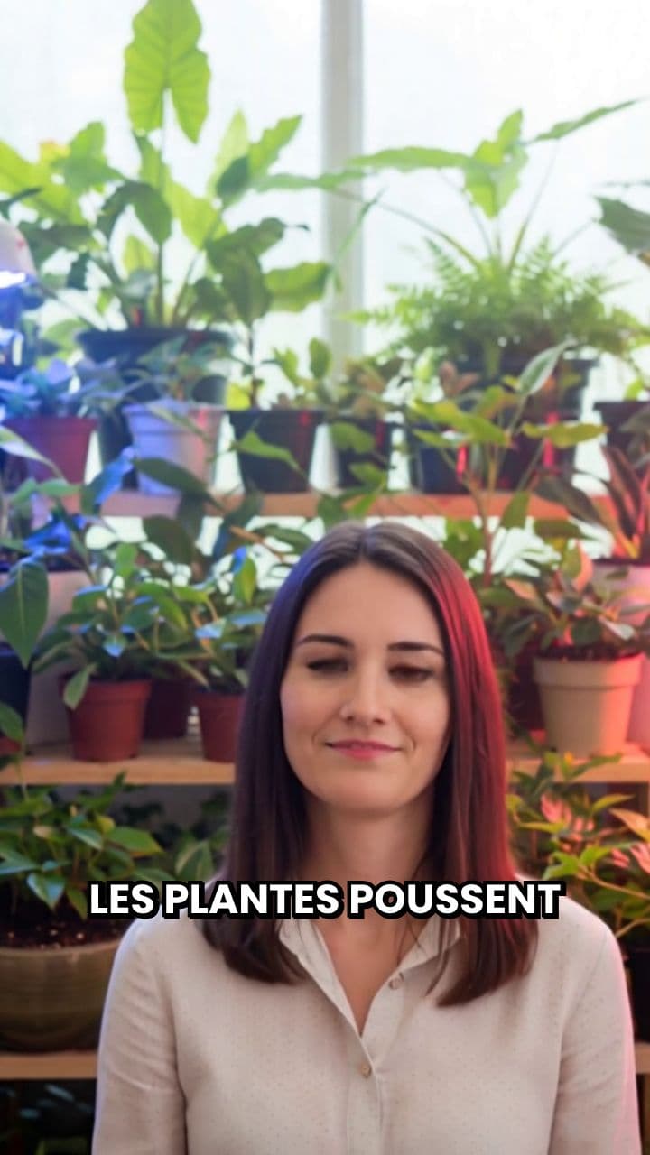 Reproduire la nature en culture intérieure