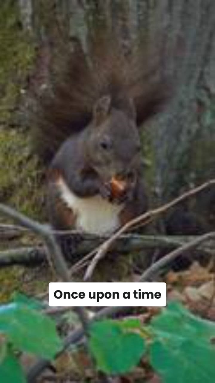 The Squirrel with a Peanut Tail