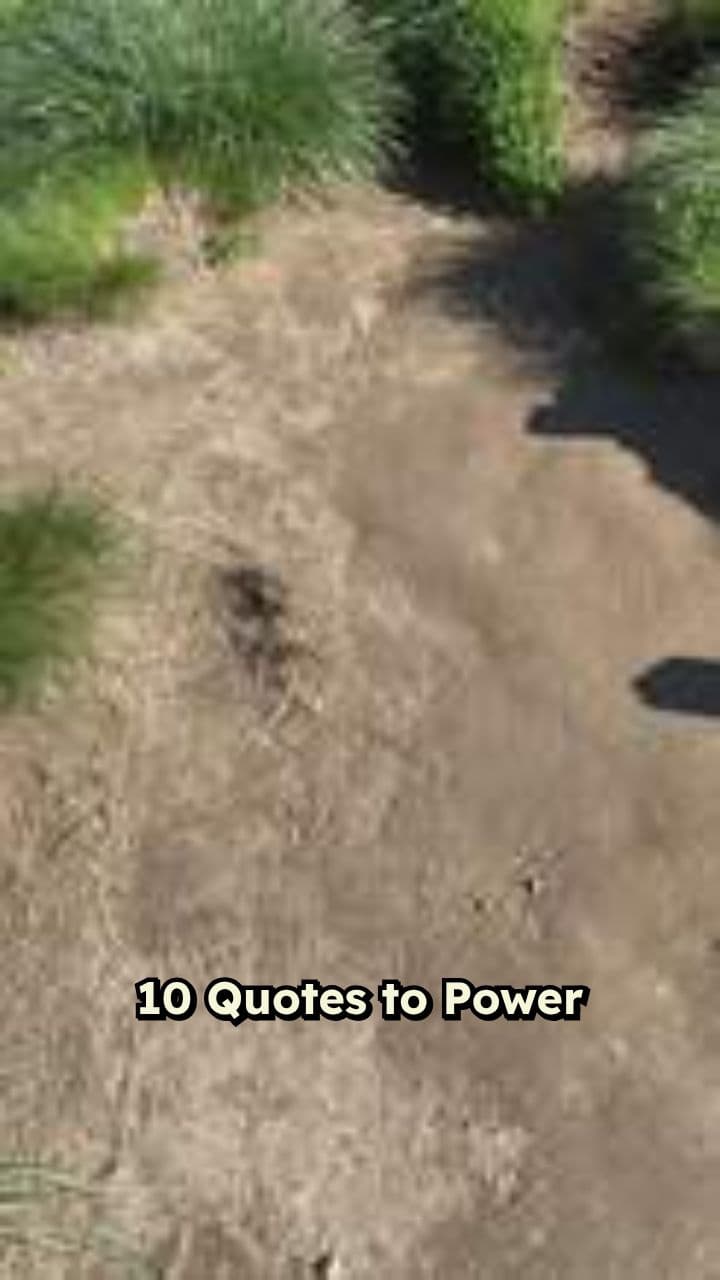 Empower Your Day with These Quotes