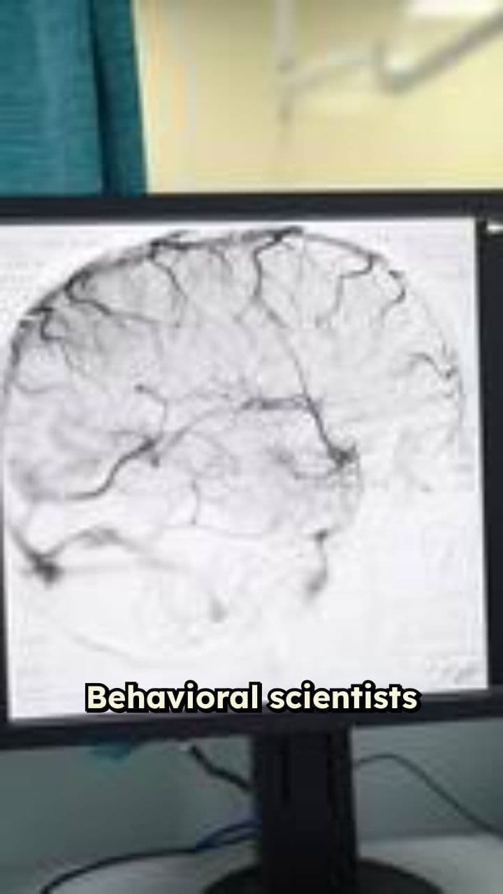 The Science of Why We Can't Make Decisions Without Emotion