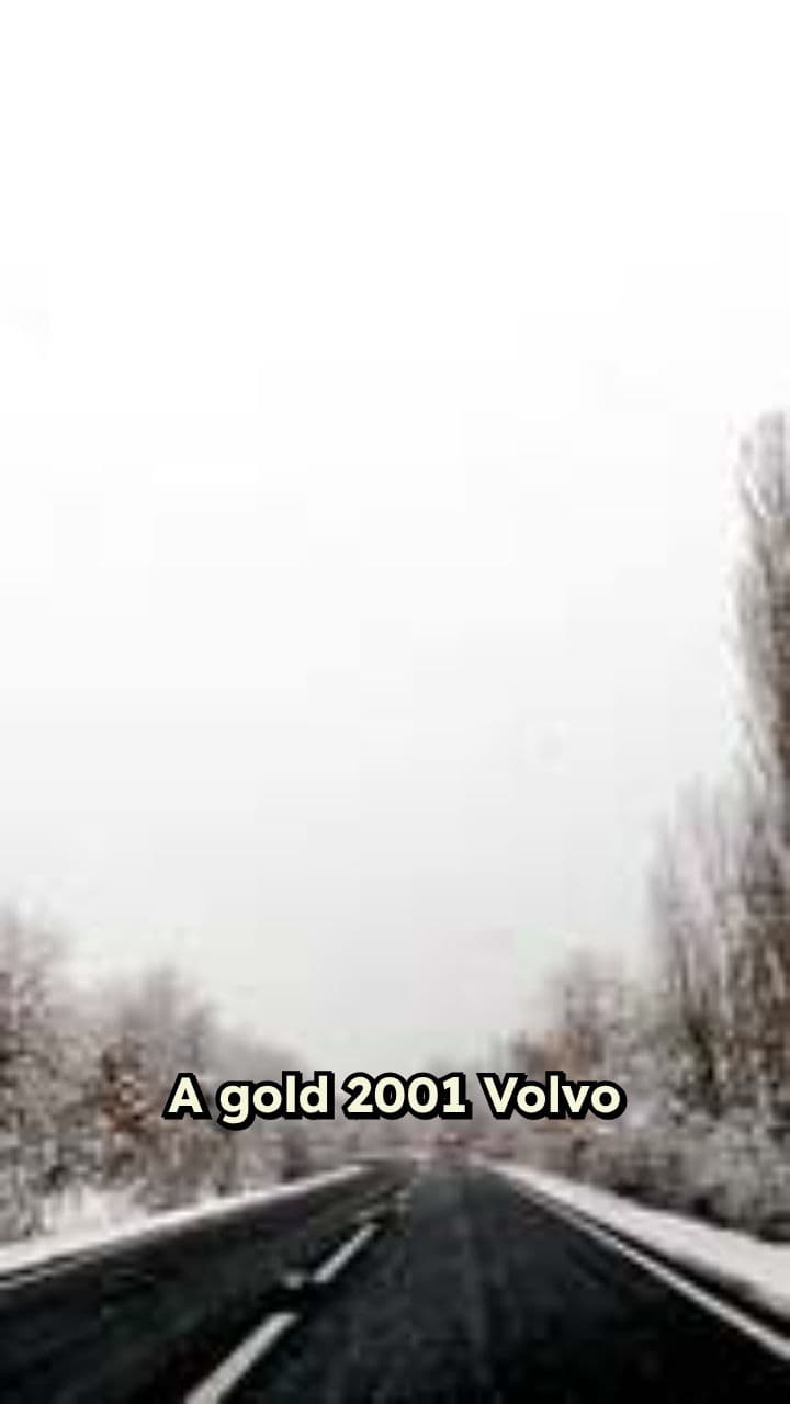 Winter Warriors: Unlikely Off-Road Beasts