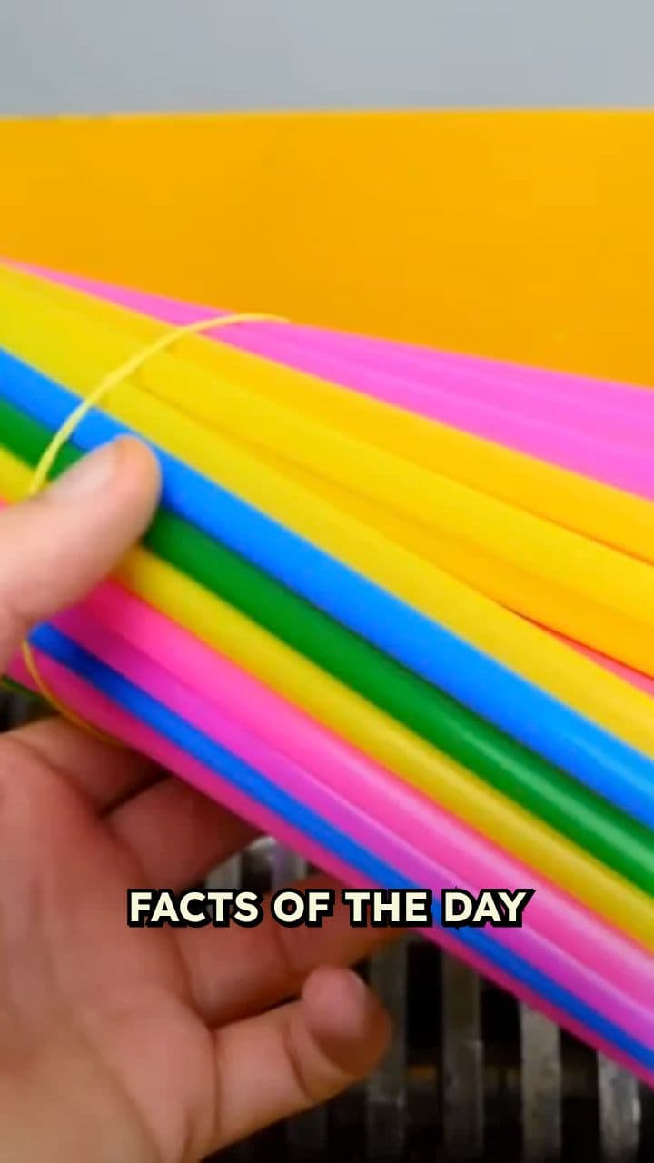 Amazing Facts You Didn't Know