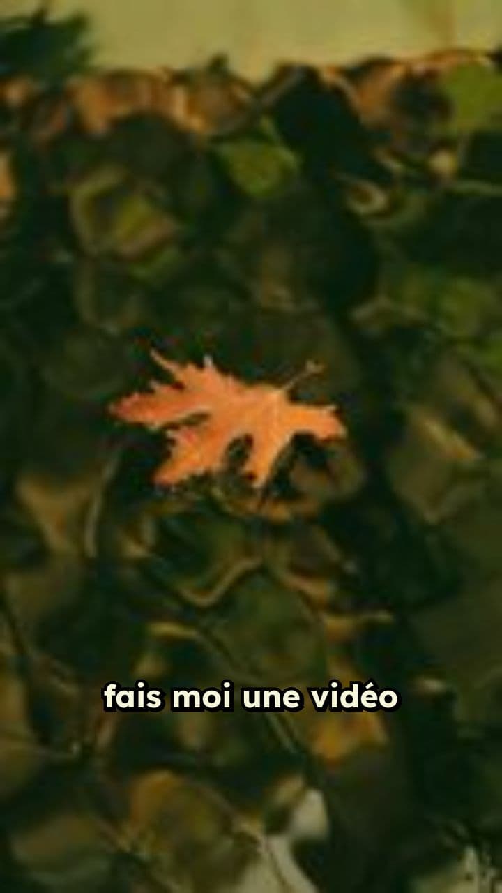 Rétention d'eau : Causes et solutions