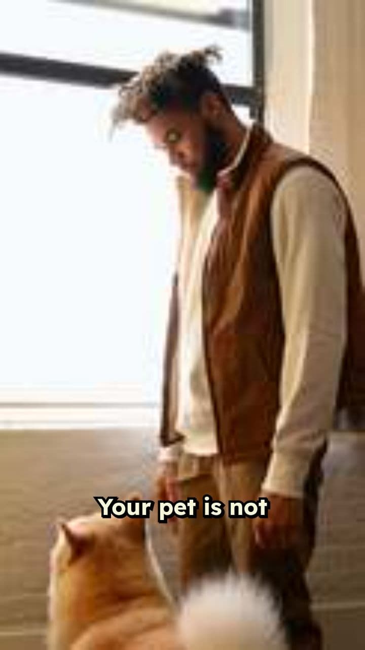 Quiet Pet Travel Redefined