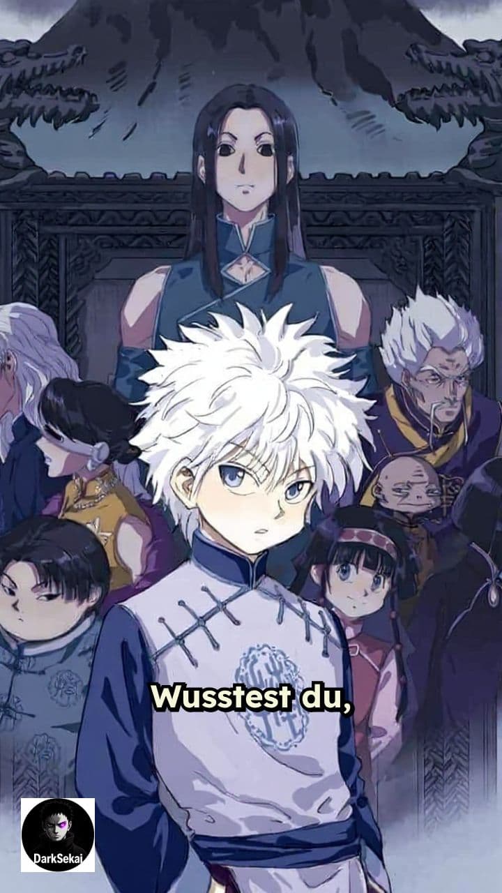 Die Zoldycks: Ein Fluch der Erziehung