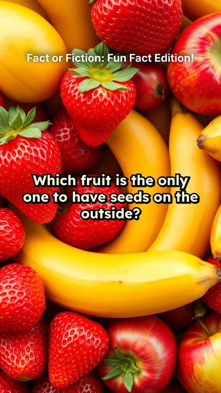 Fact or Fiction: Fun Fact Edition!