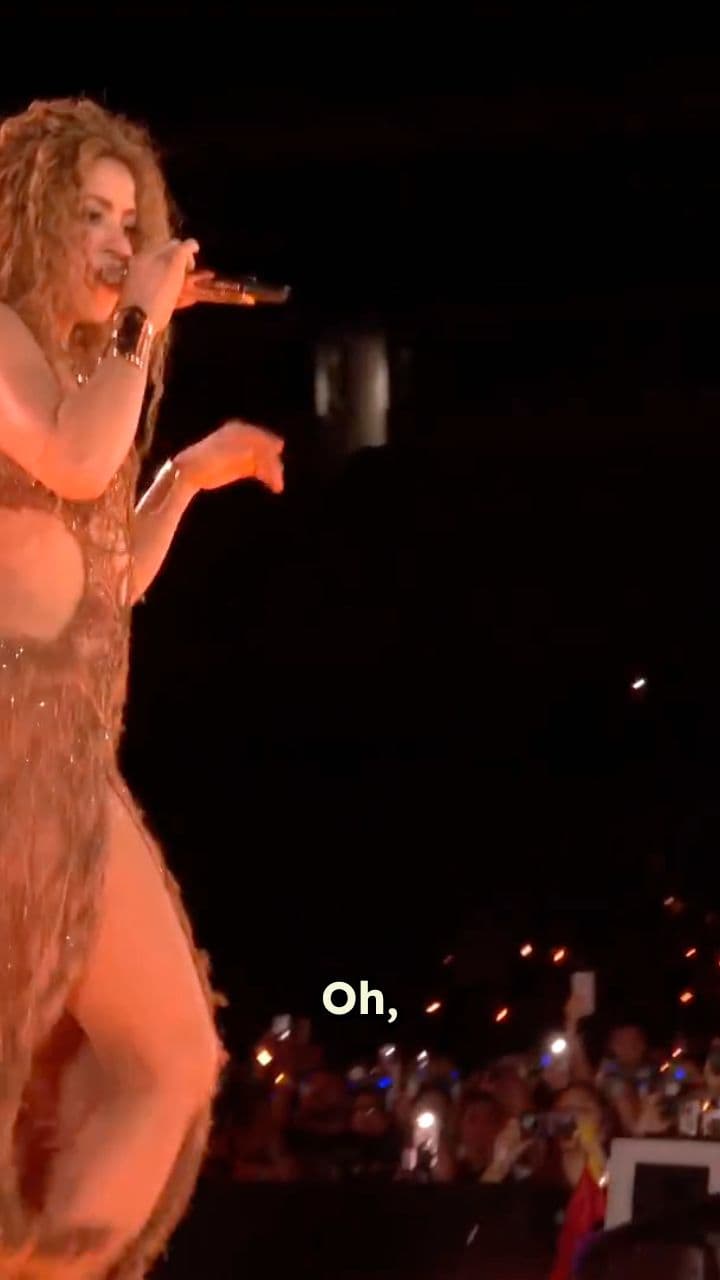 Half Animal, Half Mad