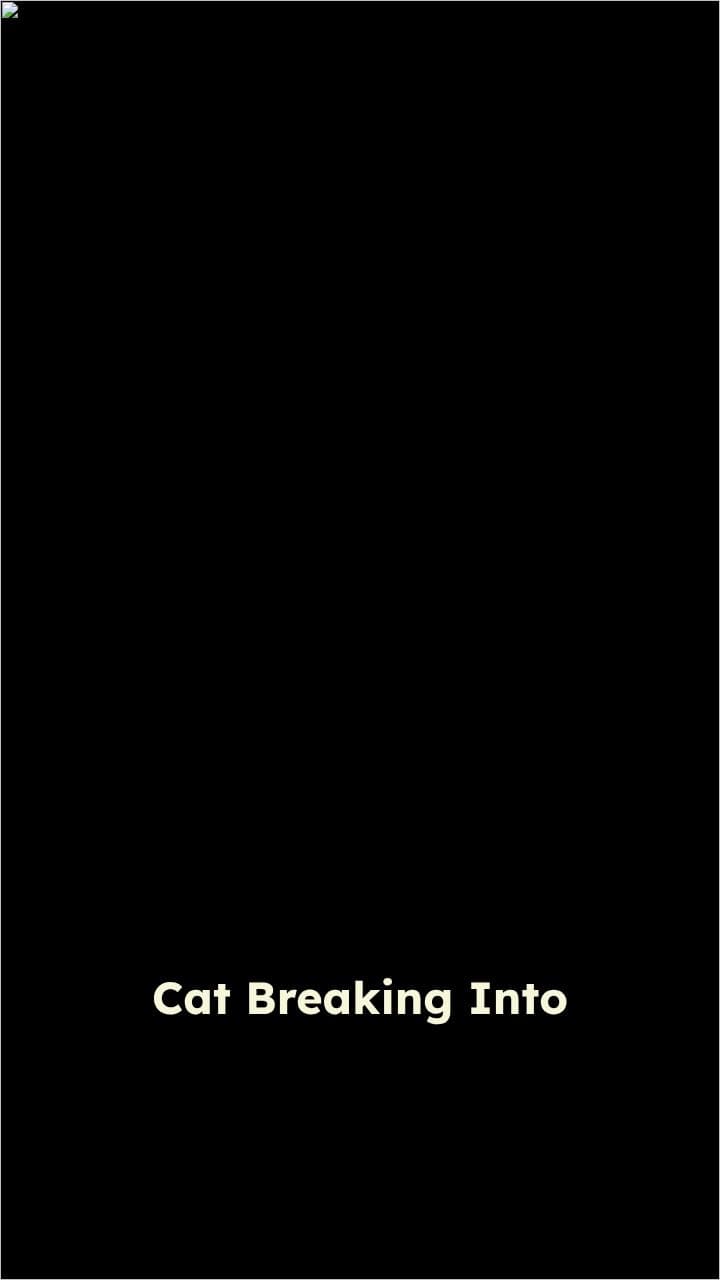 Cat Burglar Adventures