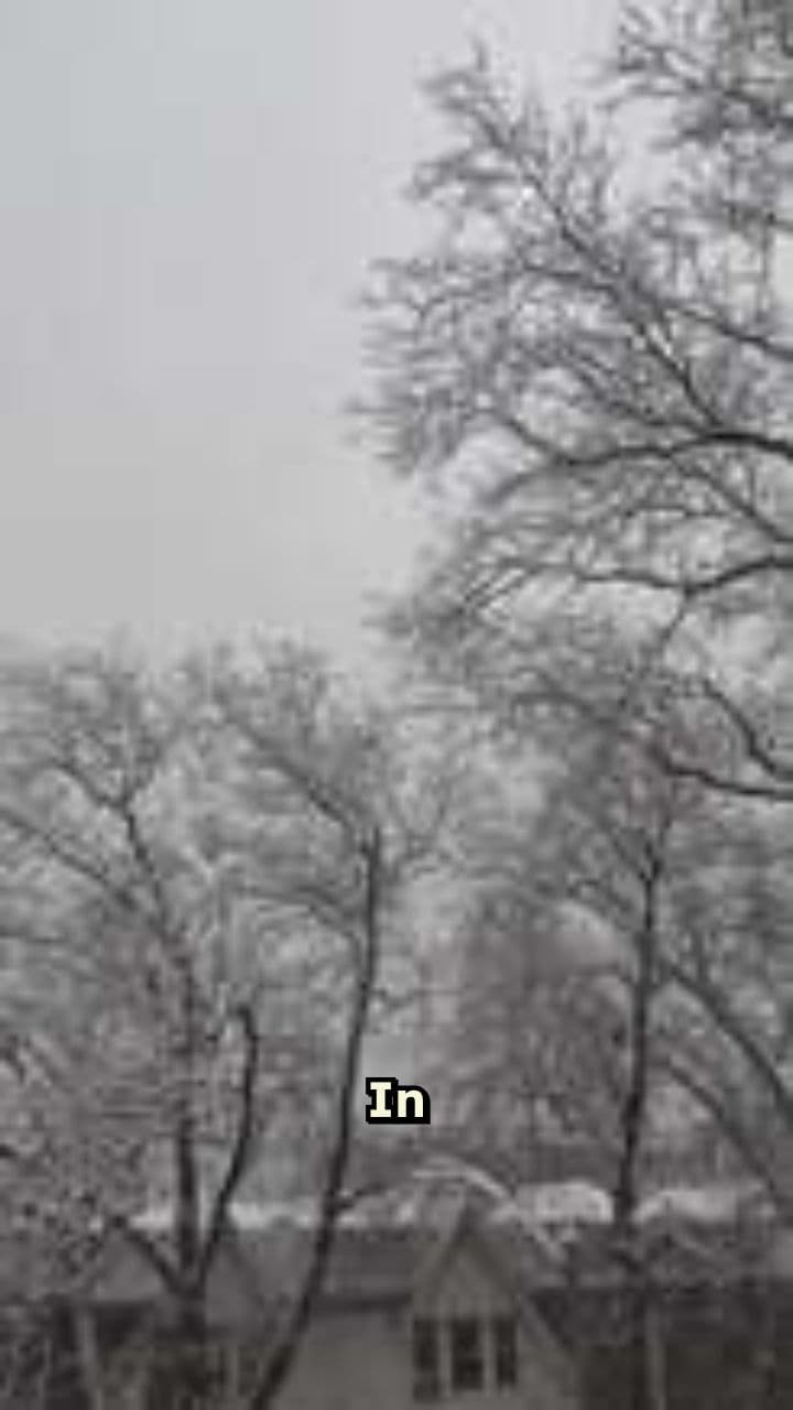 Untold Warriors: The Daily Drift