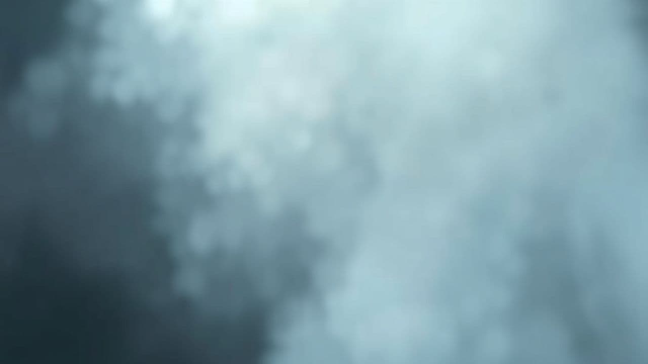 Saudade do Tempo Perdido