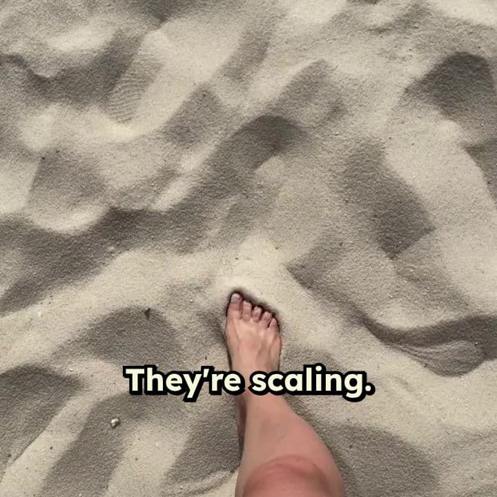 Stop Guessing. Start Scaling.