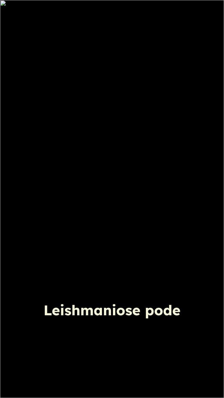 Leishmaniose: Perigo Silencioso e Letal