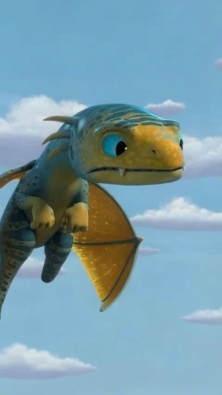 Image transform video