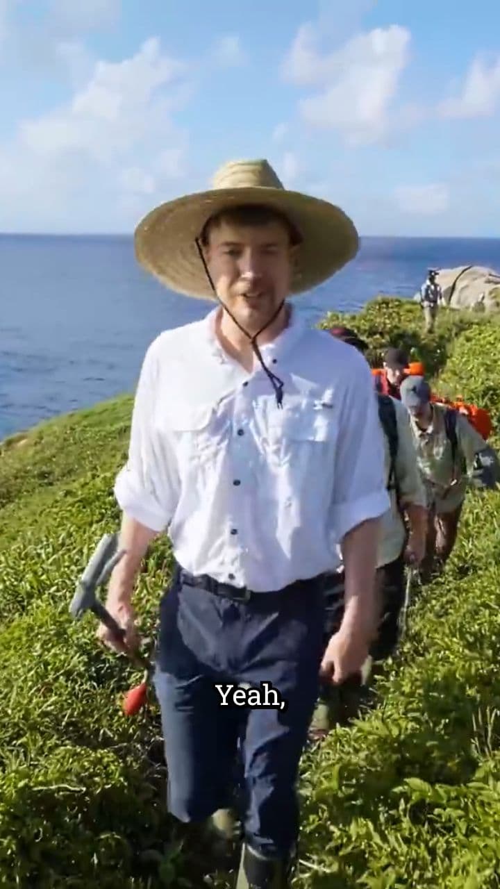 Exploring the Jungle