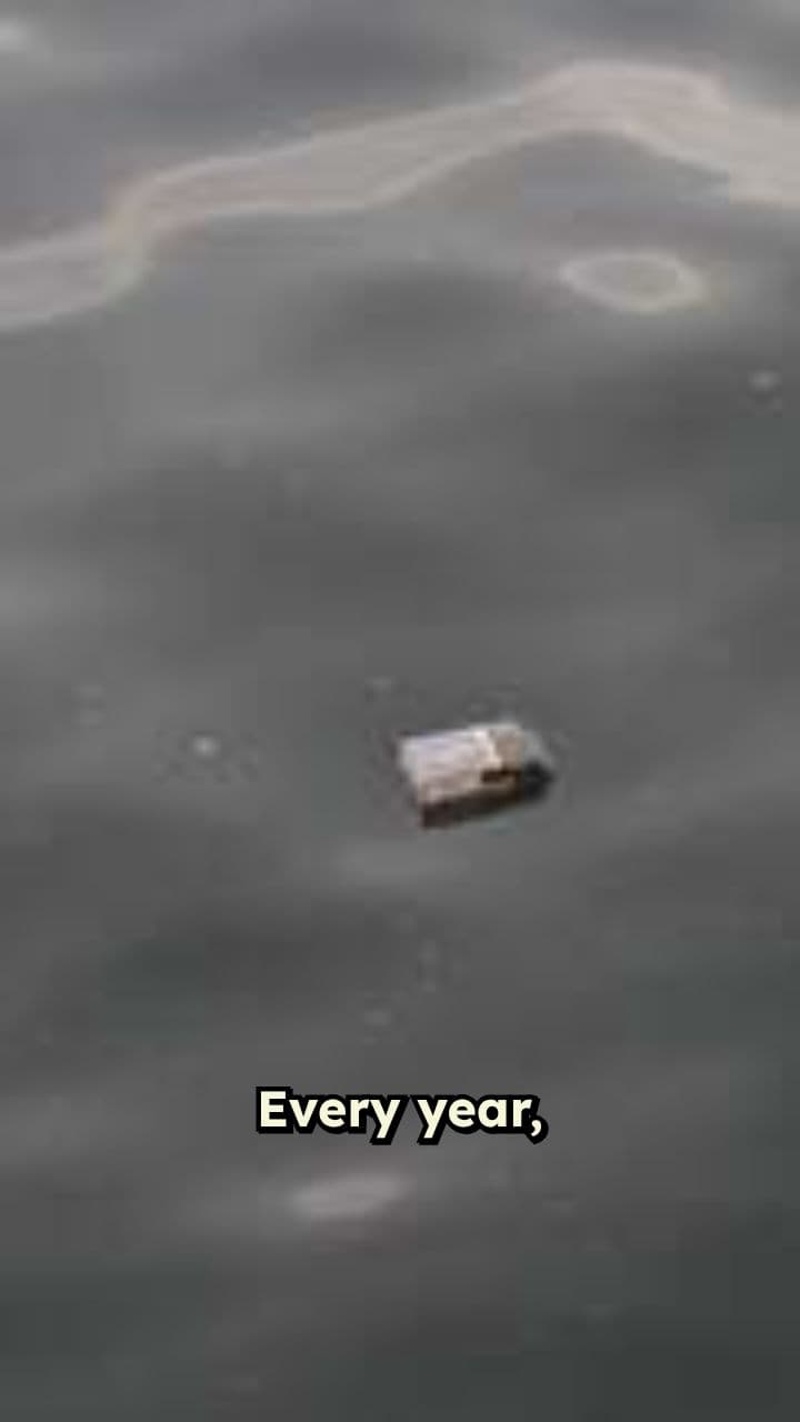 Ocean Plastic Pollution: Key Sources Explained