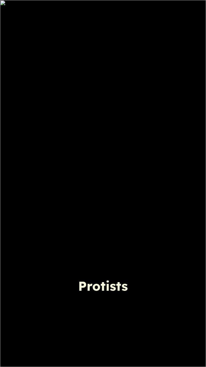 Understanding Protists and Cell Processes