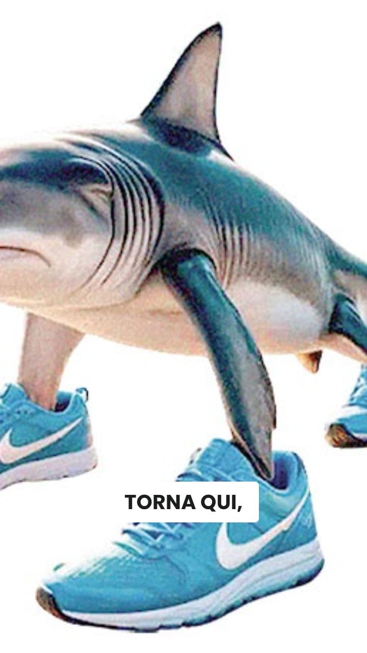 La Caccia al Tralalero dei Soldi