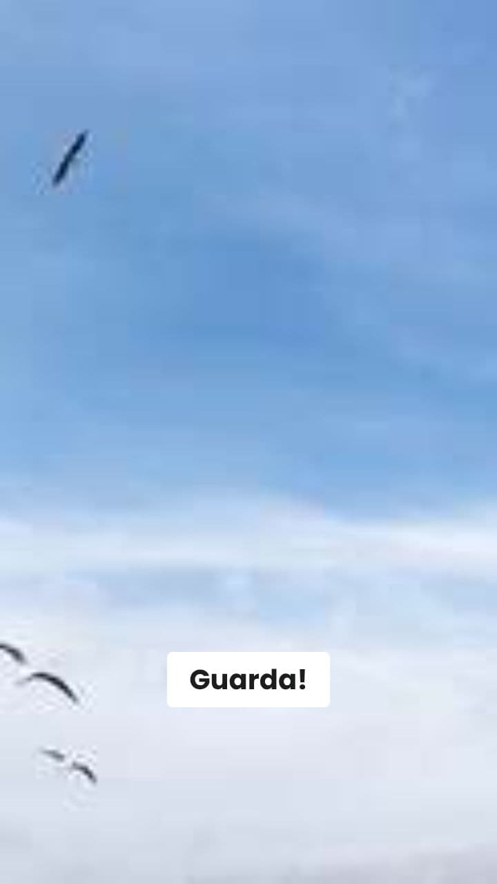 Il Caos di CoccodrilloPistola