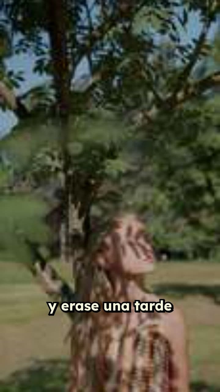 A Spring Afternoon Under Apple Tree