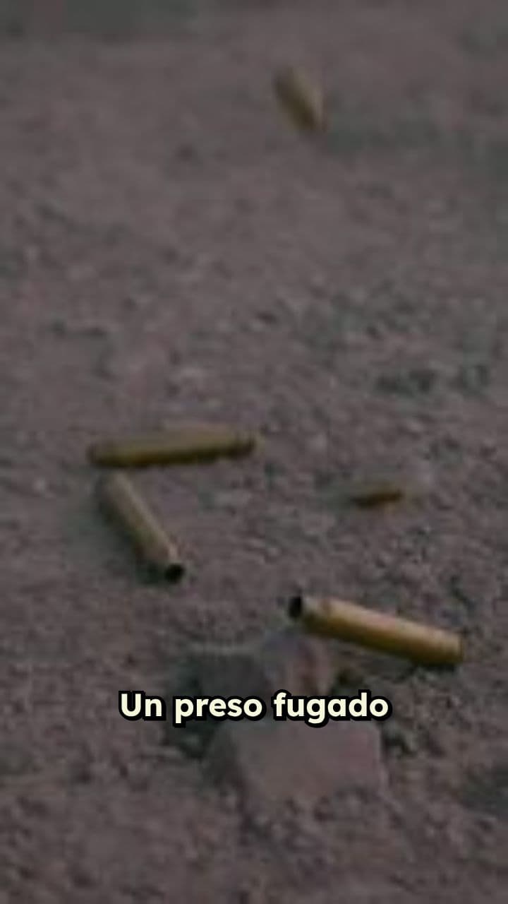 Asesinato de anciana por un preso fugado
