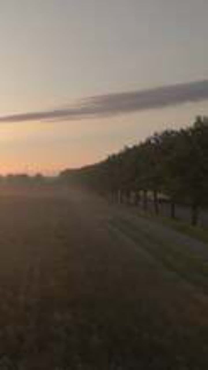 Chasing a Neon Dream