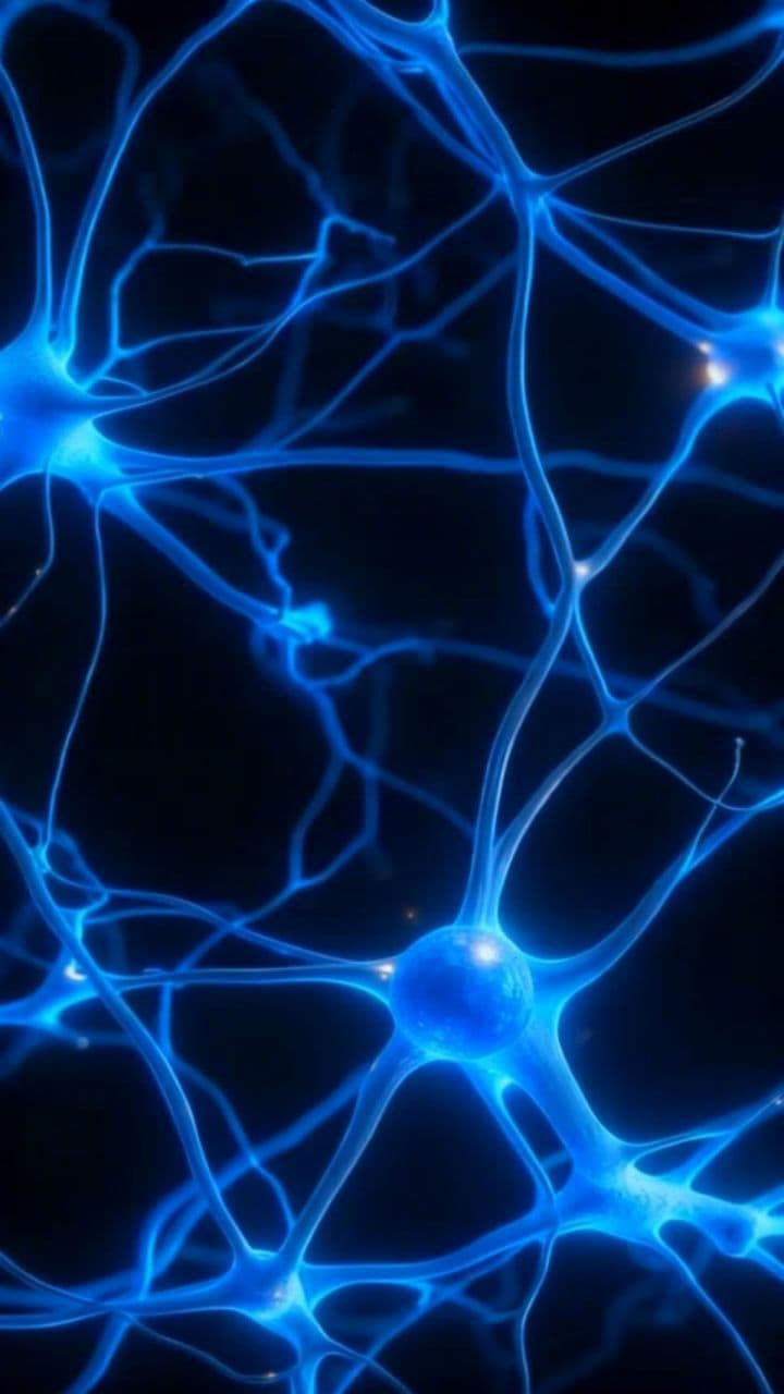 Image transform video