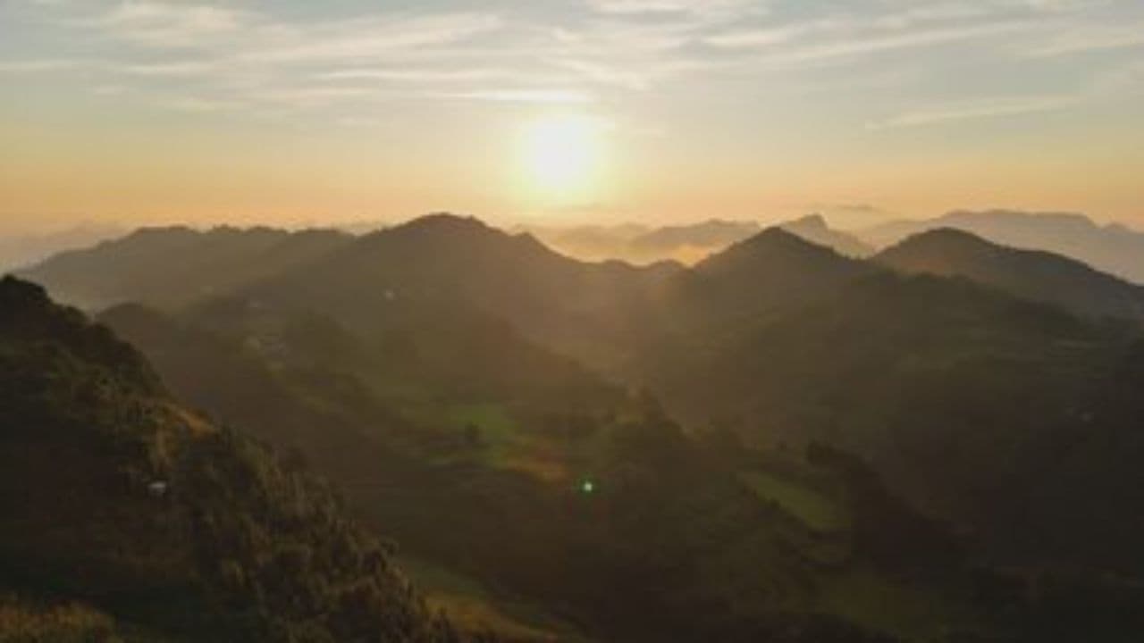 Run Free, No Regrets