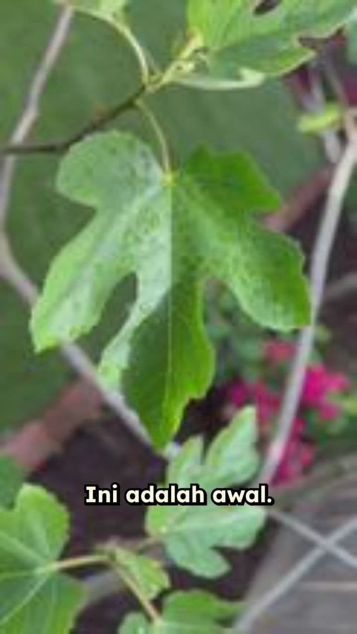 Metamorfosis Kupu-kupu: Keajaiban Alam