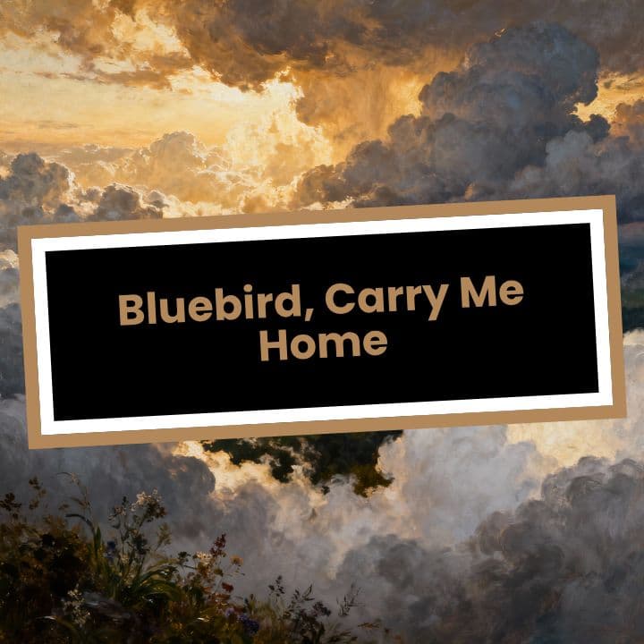 Bluebird, Carry Me Home