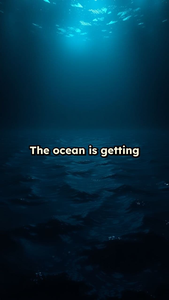 Ocean Noise Crisis: A Growing Threat